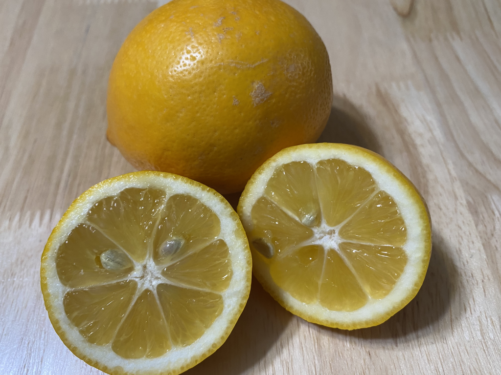 Inside of a Meyer Lemon, it has a more orange hue than a regular lemon.
