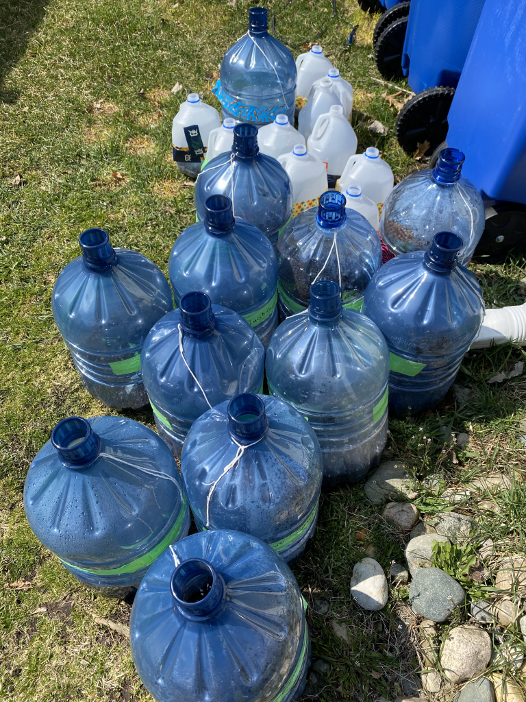 Filled winter-sown jugs outside in early spring 2020.