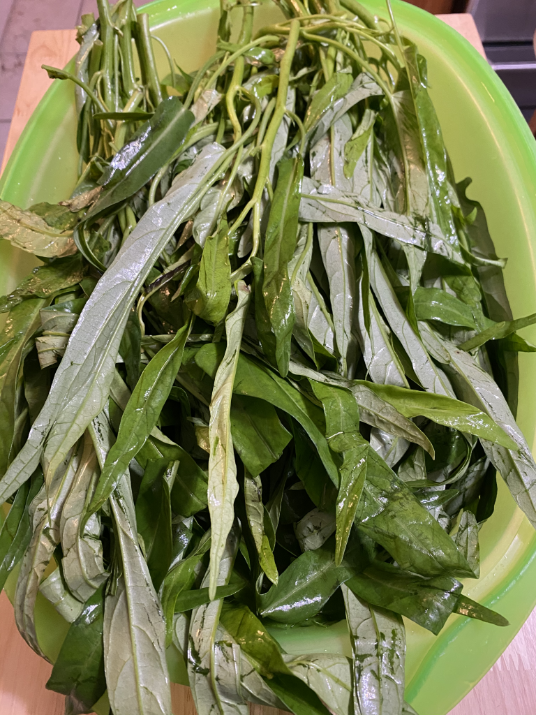 washed water spinach (approximately 1/3 of the bag) for our tuna salad