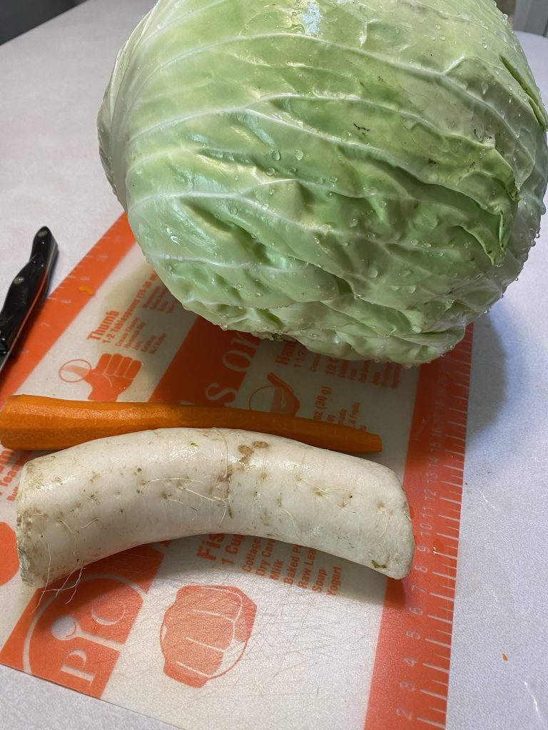 Cabbage from a local farm, a piece of daikon radish, and a carrot.  Vegetables for kimchi-style sauerkraut