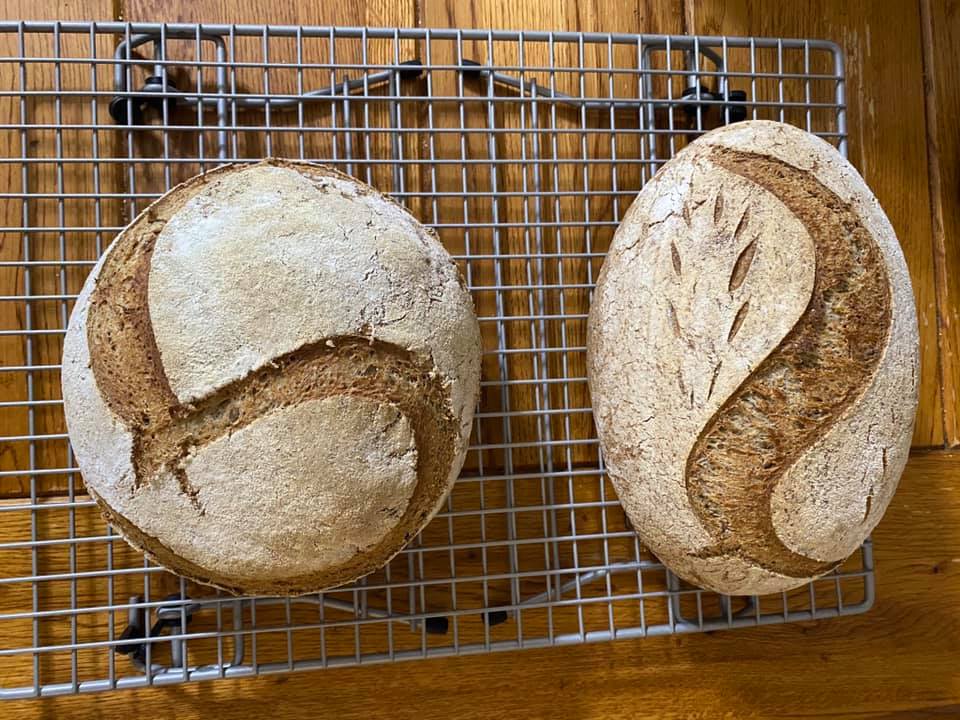 Sourdough loaves of bread